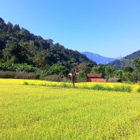 Term of taskforce formed to fix pay, facilities of nurses extended by one month