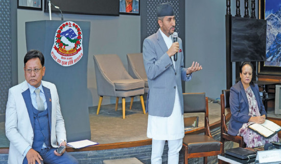 Minister Kharel holds meeting with film artistes