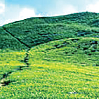 Man City win as Inter stay perfect, Barca held  in Champions League