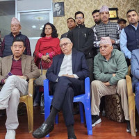 Translocated rhinos find new friends in Koshi Tappu