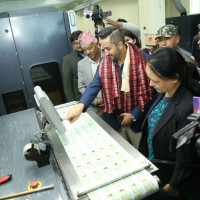 Translocated rhinos find new friends in Koshi Tappu