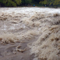 Nepal lost to South Africa