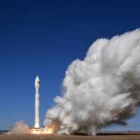 Extreme heat threatens tropical birds, even in untouched forests, scientists warn