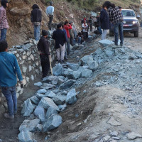 Constitution Day celebration: In pictures