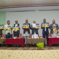 Commitment for full compliance of inclusive principle inevitable: Vice President