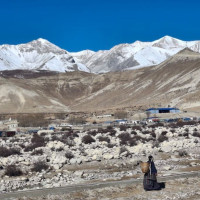 Nechung Customs Office of Mustang