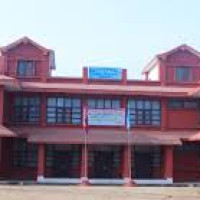 Concerns raised over ineffective use of forest resources under Provincial Forest Act