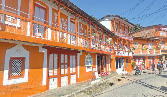 From streets to painting, Dhankuta’s orange town comes alive