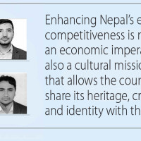 Campaign launched to revive Sangini