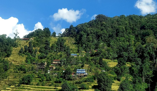 67% citizens enrolled in health insurance scheme