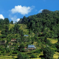 Mid-Hill Highway faces roadblocks in Panchthar