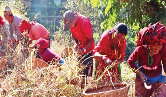 Towards Sustainable Export Growth