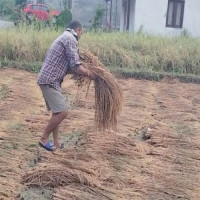 Nepane village in Gorkha looks deserted