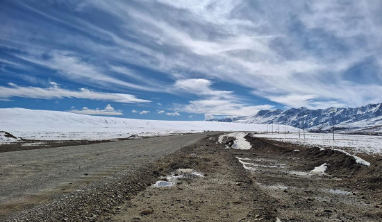 Selfie Park of Mustang