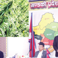 Karna sworn-in as new Madhes Province Chief