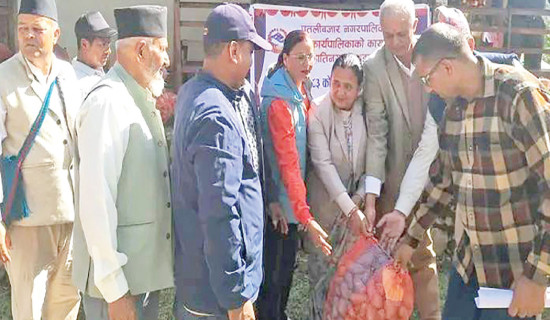 Potato self-reliance campaign launched