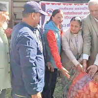 Gandaki Province moves to legalise cannabis cultivation