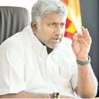 Paddy yield expected to decrease by five percent this year