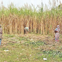 9th National Games: APF team wins women volleyball