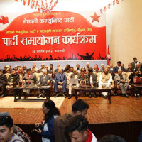 Niguro serves as a reliable source of income