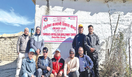 Satellite apple farm established in Mustang