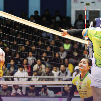 Satellite apple farm established in Mustang