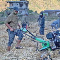 Constitution Day messages