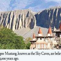 Jonathan the tortoise, world's oldest land animal, celebrates his 190th birthday