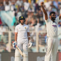 A ‘historic’ result: How tiger numbers tripled in Thailand forest complex