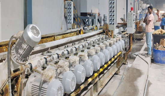 Capacity utilisation of Lumbini industries falls to 50.60 per cent