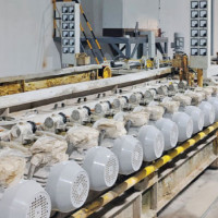 Foreign tourists visit Satyawati region every year