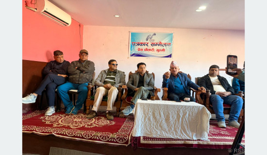 Political stability required for development: Gyawali