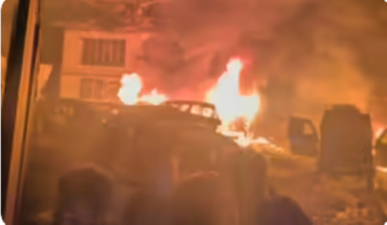 Syangja produces orange worth Rs. 1.12 billion