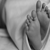 Govt giving high priority to Madhes development: Leader Shrestha