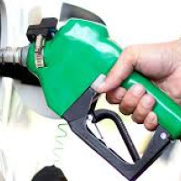 No satisfactory progress in sustainable development goals: Chair Rana