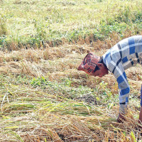 China, Russia, Iran agree to boost coordination within international organizations