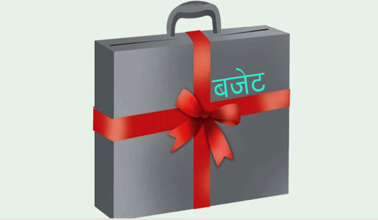 25 local levels without budget four months into the new FY