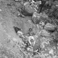 Nepal-Australia celebrate 65 Years of Diplomatic Relations