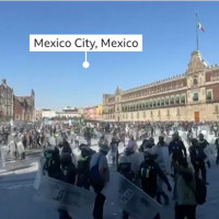 Some of the most beautiful bird photos you'll ever see