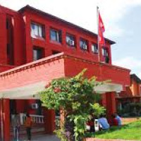 Protect Yak Pastoralism In Himalayas