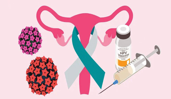 World Cervical Cancer Elimination Day: Screening and immunization imperative