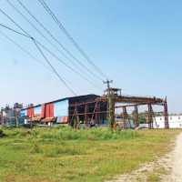 Rais in Khalsa mark Papani festival