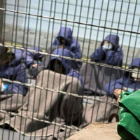 Three arrested from Kailali with gold, silver and foreign currency