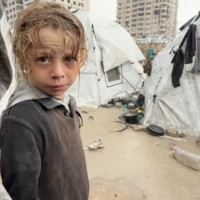 Rushdie off ventilator and talking, day after attack