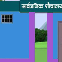 Endangered Indian vulture sighted in Dhangadhi