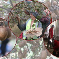 Preparations over for Koshi Province Investment Summit