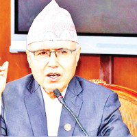 Labour shortage slows paddy harvest in southern Morang