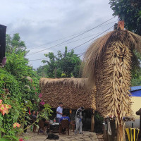 Saptakoshi flood is a boon for firewood collectors