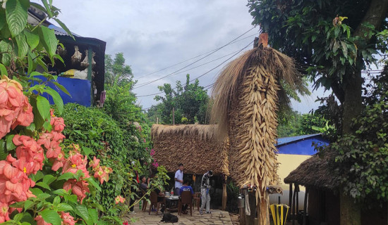 Production of maize increases in Tanahun