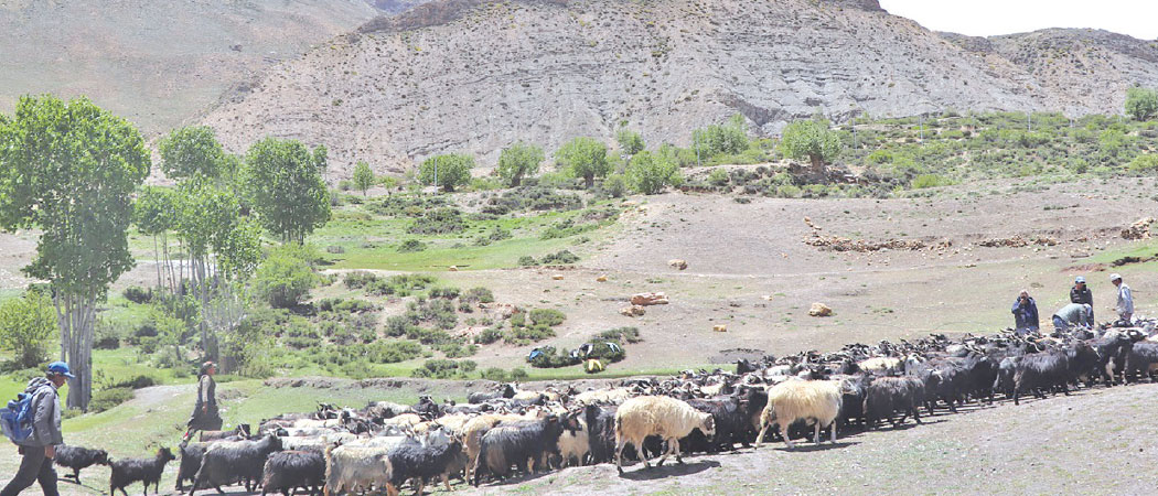 Water crisis forces upper Mustang villagers to relocate